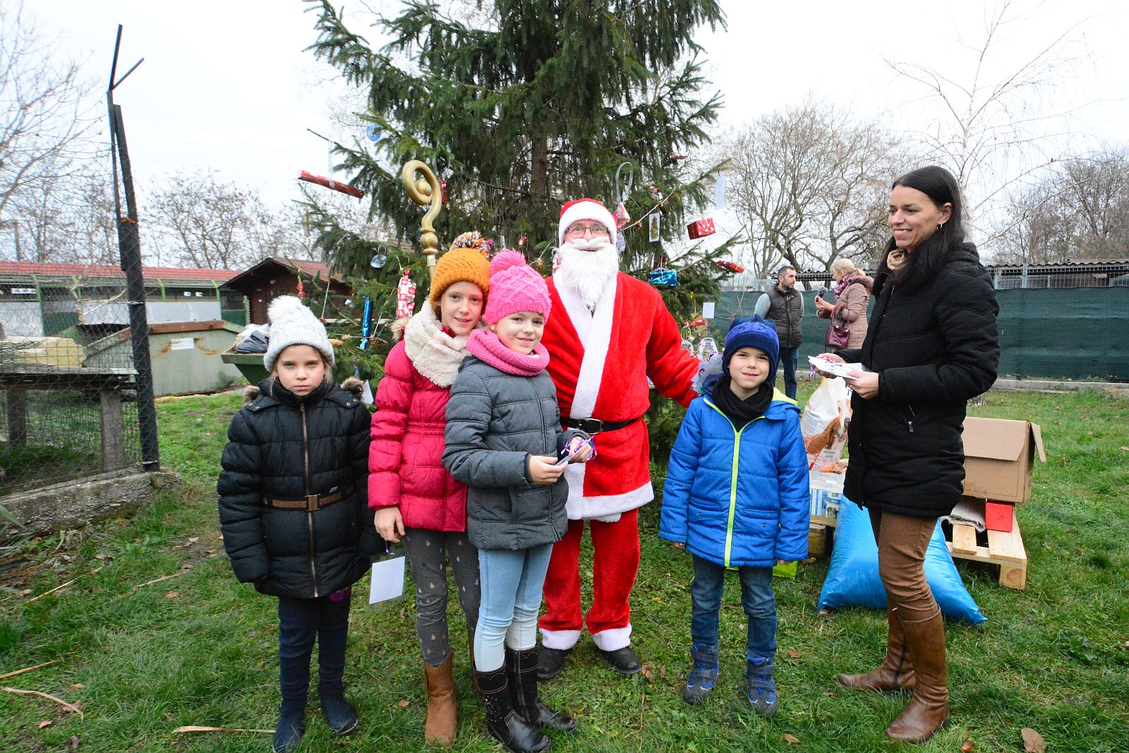 Állatok Karácsonya a Fehérvári Állatotthonban